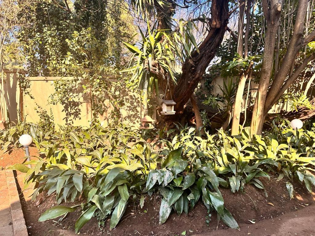 ميدلبرغ Woods Guest House المظهر الخارجي الصورة